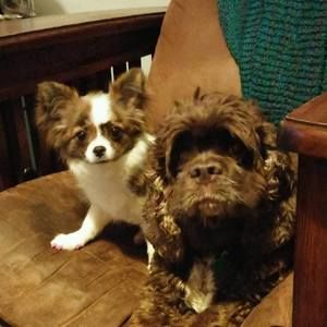 Meet your Posher, Cherie